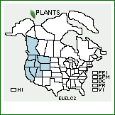 Distribution of Elymus elymoides (Raf.) Swezey ssp. californicus (J.G. Sm.) Barkworth. . 