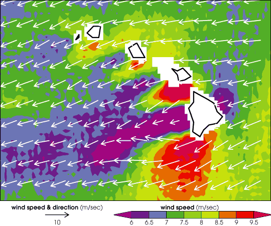 Hawaiin wake