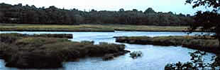 Photo of a river flowing into the Sound