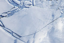 Wilkins Ice Bridge Collapse