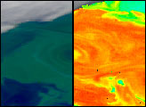 SeaWiFS True Color and Chlorophyll