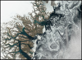 Sea Ice off Greenland Coast