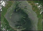 Duckweed Invasion in Lake Maracaibo