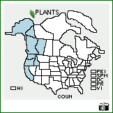 Distribution of Cornus unalaschkensis Ledeb.. . Image Available. 