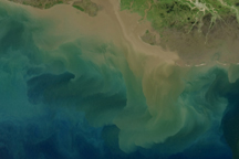 Sediment in the Gulf of Mexico