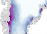 Melting Days on Greenland