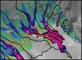 Balance of the West Antarctic Ice Sheet