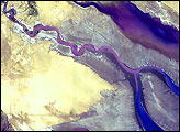 Colorado River Delta