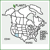 Distribution of Quercus viminea Trel.. . 