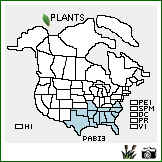 Distribution of Paspalum bifidum (Bertol.) Nash. . Image Available. 