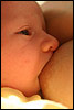 picture of a baby breastfeeding