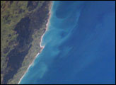 Plankton Plume, North Island, New Zealand