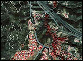 Burned Area near Alpine, California