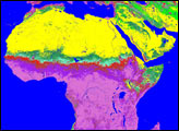 Characteristics of Vegetation in Africa