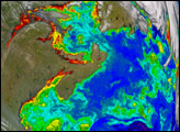 Biological Activity around Maritime Canada