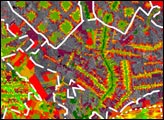 Deforestation in Tierras Bajas, Bolivia