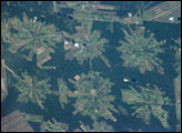 Tierras Bajas Deforestation, Bolivia