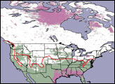 Mapping North America’s Wintry Weather