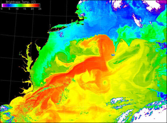 Gulf Stream's Brightness Temperature