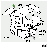 Distribution of Zea mexicana (Schrad.) Kuntze. . Image Available. 