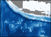 Tsunami Strikes Java