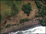 Tsunami Damage in Java