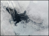 Polynya North of Alaska