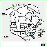 Distribution of Eustachys floridana Chapm.. . Image Available. 