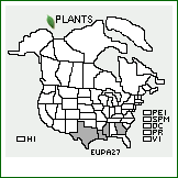 Distribution of Eustachys paspaloides (Vahl) Lanza & Mattei. . 