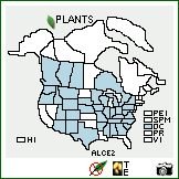 Distribution of Allium cernuum Roth. . Image Available. 