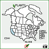 Distribution of Allium cratericola Eastw.. . Image Available. 