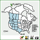 Distribution of Allium geyeri S. Watson. . Image Available. 