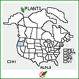 Distribution of Allium pleianthum S. Watson. . 