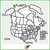 Distribution of Allium porrum L.. . Image Available. 
