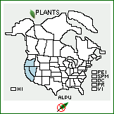 Distribution of Allium punctum L.F. Hend.. . 