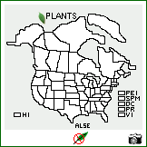 Distribution of Allium serratum S. Watson [excluded]. . Image Available. 