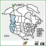 Distribution of Allium validum S. Watson. . Image Available. 