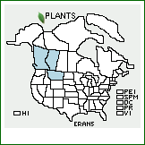 Distribution of Eriogonum androsaceum Benth.. . 