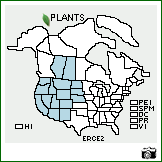 Distribution of Eriogonum cernuum Nutt.. . Image Available. 