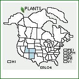 Distribution of Eriogonum lonchophyllum Torr. & A. Gray. . 
