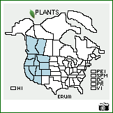 Distribution of Eriogonum umbellatum Torr.. . Image Available. 