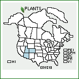 Distribution of Eriogonum viridulum Reveal. . 