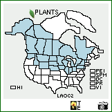 Distribution of Lathyrus ochroleucus Hook.. . Image Available. 