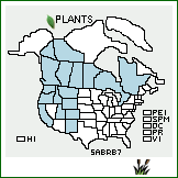 Distribution of Salix brachycarpa Nutt. var. brachycarpa. . 