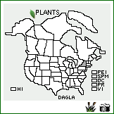 Distribution of Dactylis glomerata L. ssp. aschersoniana (Graebn.) Thell.. . Image Available. 