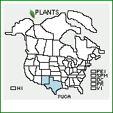 Distribution of Yucca campestris McKelvey. . 