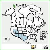 Distribution of Yucca elata (Engelm.) Engelm.. . Image Available. 