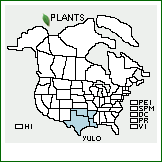 Distribution of Yucca louisianensis Trel.. . 
