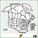 Distribution of Prosopis palmeri S. Watson. . Image Available. 