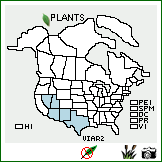 Distribution of Vitis arizonica Engelm.. . Image Available. 